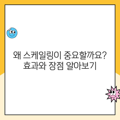 평택 치과| 꾸준한 스케일링, 건강한 치아를 위한 필수 관리 | 스케일링 효과, 주기, 비용