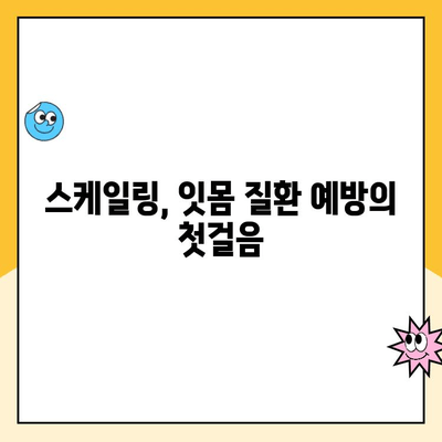 분당미금치과 스케일링으로 발치 예방하고 건강한 치아 유지하기| 잇몸 건강 지키는 핵심 가이드 | 스케일링, 잇몸 질환, 치아 건강, 분당 치과, 미금 치과