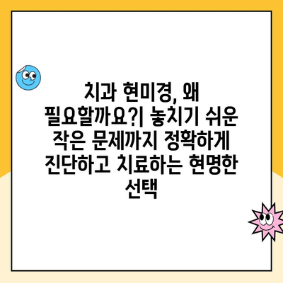 치과 현미경| 현대 치과 진료의 혁신 | 치과 현미경, 치과 진료, 의료 기술, 정밀 진료