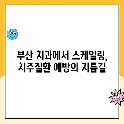 부산 치과 스케일링, 치아를 망칠까요? 발치까지 이어질 수 있을까요? | 스케일링, 치주질환, 부산 치과 추천