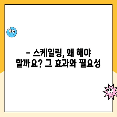 신제주 치과 스케일링, 왜 필요할까요? | 스케일링 필요성, 과정, 주의사항, 비용까지 완벽 가이드