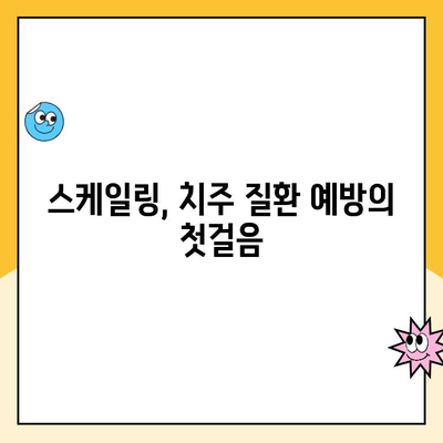 치주 질환 예방 필수! 스케일링 비용 & 선택 기준 완벽 가이드 | 치과, 잇몸 건강, 치주염, 스케일링, 비용, 선택 팁