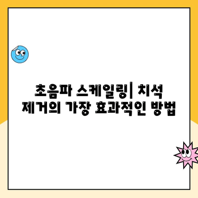 치석 제거의 핵심, 초음파 스케일링| 사전 예방으로 건강한 치아를 지키세요 | 치석, 치주염 예방, 구강 건강