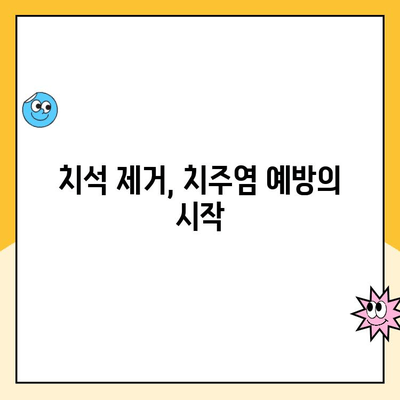 치석 제거의 핵심, 초음파 스케일링| 사전 예방으로 건강한 치아를 지키세요 | 치석, 치주염 예방, 구강 건강