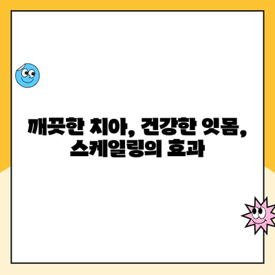 간석동 치과 스케일링으로 발치 예방하는 똑똑한 방법 | 발치 위험 줄이기, 건강한 치아 관리