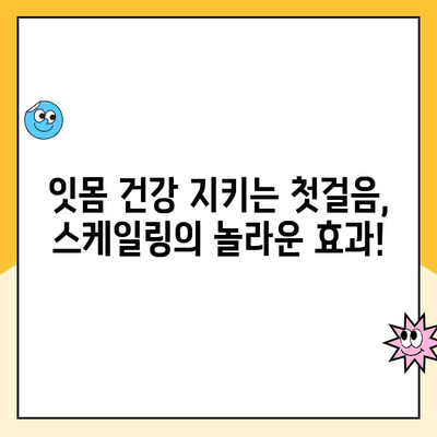 스케일링이 잇몸 건강에 미치는 놀라운 효과 | 잇몸 질환 예방, 치아 건강 관리, 스케일링의 중요성