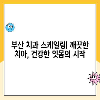 부산 치과 스케일링| 치아 건강을 위한 필수 관리 | 치아 미백, 잇몸 질환 예방, 스케일링 주기