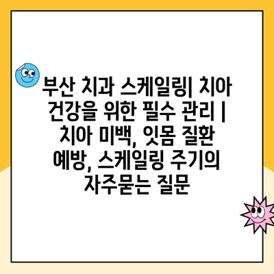 부산 치과 스케일링| 치아 건강을 위한 필수 관리 | 치아 미백, 잇몸 질환 예방, 스케일링 주기