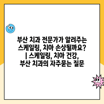 부산 치과 전문가가 알려주는 스케일링, 치아 손상될까요? | 스케일링, 치아 건강, 부산 치과