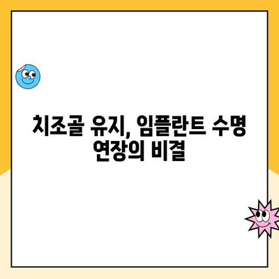 임플란트 후 악골 흡수| 시간 경과에 따른 변화와 관리 | 임플란트, 악골 흡수, 치조골, 관리법, 주의사항