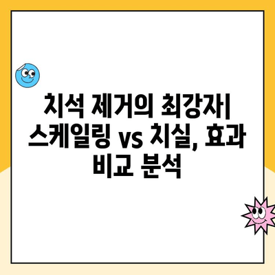 스케일링 vs 치실| 치아 건강을 위한 최고의 선택은? | 치아 관리, 구강 건강, 치석 제거