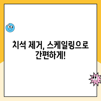 춘천 스케일링| 간편하고 무통한 치석 제거 | 춘천 치과 추천, 스케일링 가격, 치석 제거 방법