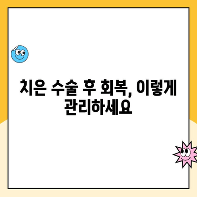 치은 수술, 궁금한 모든 것| 치료 과정부터 회복 단계까지 상세 안내 | 치은염, 잇몸 수술, 치주 질환