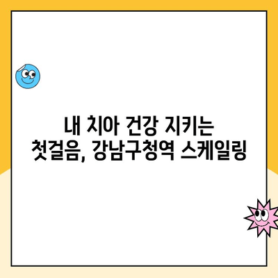 강남구청역 스케일링| 충치 예방부터 관리까지 완벽 가이드 | 치과 추천, 비용, 예약