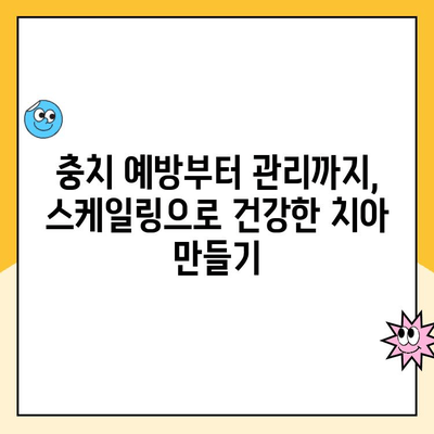 강남구청역 스케일링| 충치 예방부터 관리까지 완벽 가이드 | 치과 추천, 비용, 예약