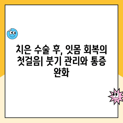 치은 수술 후 잇몸 건강 회복 가이드| 필수 관리법 & 주의사항 | 치은 수술, 잇몸 관리, 회복 팁