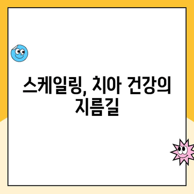 건강한 미소를 위한 필수 관리| 정기적인 스케일링의 중요성 | 치아 건강, 구강 관리, 치과 진료