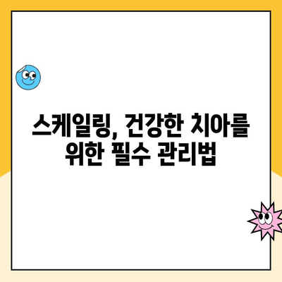 포항시북구 치과 전문가가 알려주는 스케일링 관리의 중요성| 건강한 치아를 위한 필수 지침 | 치아 건강, 구강 관리, 스케일링, 포항 치과