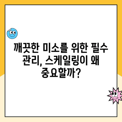 치아 건강 지키는 필수 관리법| 정기적인 스케일링의 중요성과 절차 | 치석 제거, 잇몸 건강, 구강 관리, 치과 방문