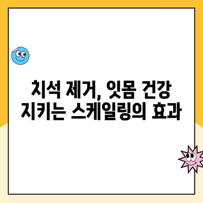 치아 건강 지키는 필수 관리법| 정기적인 스케일링의 중요성과 절차 | 치석 제거, 잇몸 건강, 구강 관리, 치과 방문