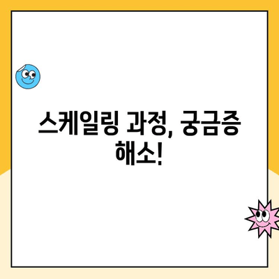 치아 건강 지키는 필수 관리법| 정기적인 스케일링의 중요성과 절차 | 치석 제거, 잇몸 건강, 구강 관리, 치과 방문