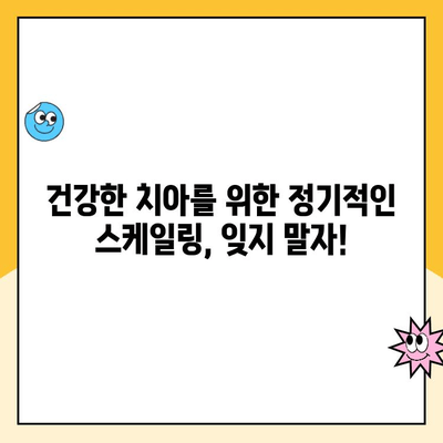 치아 건강 지키는 필수 관리법| 정기적인 스케일링의 중요성과 절차 | 치석 제거, 잇몸 건강, 구강 관리, 치과 방문