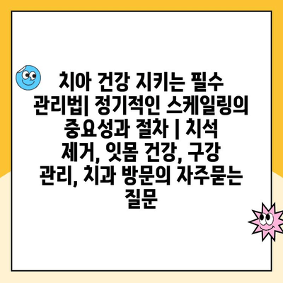 치아 건강 지키는 필수 관리법| 정기적인 스케일링의 중요성과 절차 | 치석 제거, 잇몸 건강, 구강 관리, 치과 방문