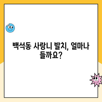 백석동 사랑니 발치 비용 & 실비 보험 안내| 내 보험으로 얼마나 돌려받을 수 있을까요? | 사랑니 발치, 실비 보험, 비용, 백석동 치과