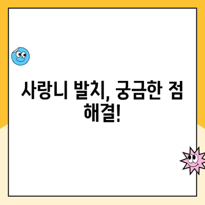 백석동 사랑니 발치 비용 & 실비 보험 안내| 내 보험으로 얼마나 돌려받을 수 있을까요? | 사랑니 발치, 실비 보험, 비용, 백석동 치과