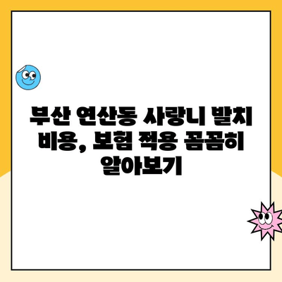 부산 연산동 사랑니 발치 비용, 보험 적용 꼼꼼히 알아보기 | 사랑니 발치, 보험 혜택, 비용 정보, 치과 추천