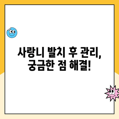 백석동 치과 사랑니 발치 비용| 종류별 비교 & 추천 | 사랑니, 발치, 비용, 치과, 백석동