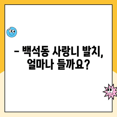 백석동 사랑니 발치, 비용 궁금하시죠? | 치과, 발치 가격, 상담