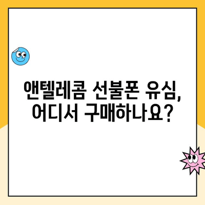 앤텔레콤 선불폰 개설, 지금 바로 시작하세요! | 개설 절차, 요금제, 유심 정보 총정리