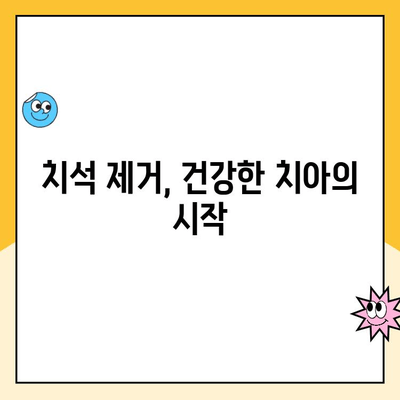 스케일링, 꼭 필요할까요? 도마동 치과가 알려드리는 스케일링의 모든 것 | 치석 제거, 잇몸 건강, 치주 질환 예방