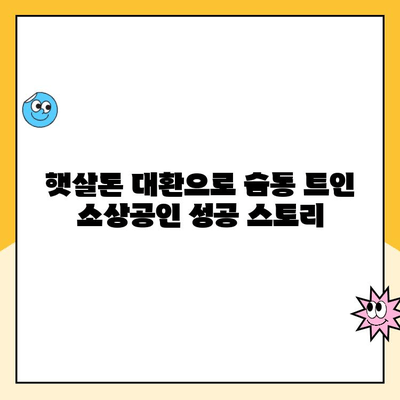 햇살론 대환 대출 후기| 소상공인, 자영업자 성공 사례와 주의 사항 | 햇살론, 대환 대출, 사업자 대출, 금리 비교