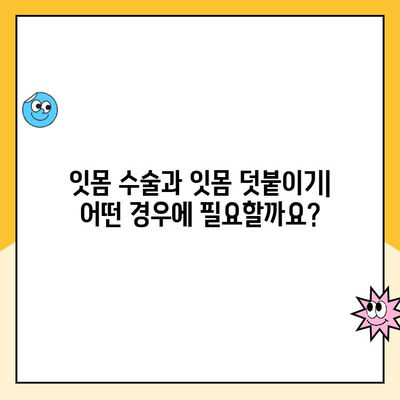 잇몸 수술 vs 잇몸 덧붙이기| 차이점, 유사점, 그리고 선택 가이드 | 치은 수술, 잇몸 이식, 잇몸 재생, 치과 수술