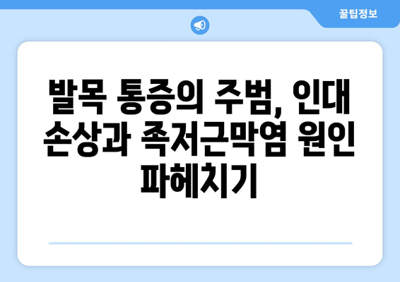 발목 인대 족저근막염| 발목 젖히기 어려움, 원인과 효과적인 치료법 | 발목 통증, 족저근막염, 운동 팁