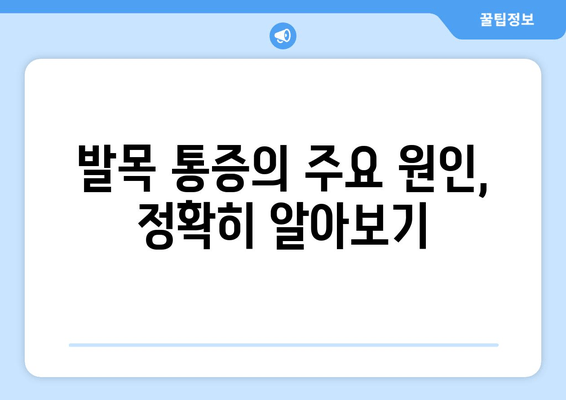 갑자기 찾아온 발목 통증, 원인과 발목 보호대 관리법 | 발목 통증, 발목 부상, 발목 보호, 재활