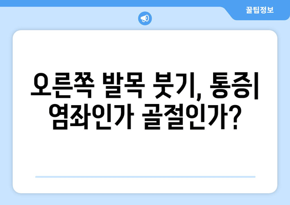 오른쪽 발목 붓기, 통증| 염좌 vs 골절, 증상 비교 가이드 | 발목 부상, 통증 완화, 응급 처치