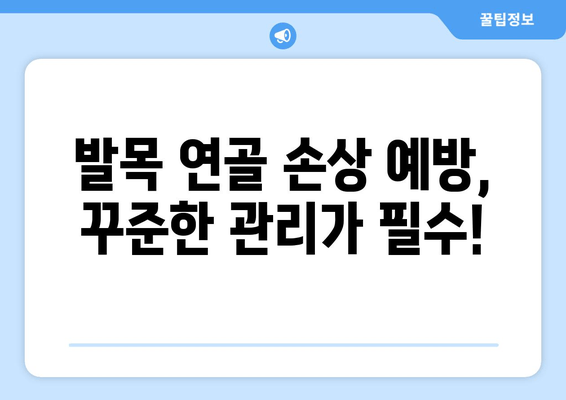 발목 통증, 연골 약화가 원인일까요? 관리 & 치료법 총정리 | 발목 통증, 연골 손상, 운동, 재활, 치료