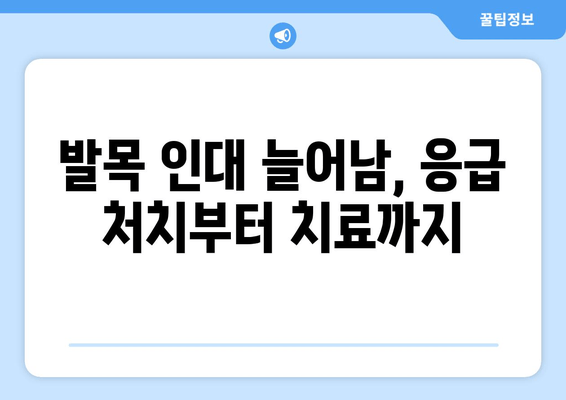 발목 인대 늘어남, 증상과 필수 치료법 완벽 가이드 | 발목 통증, 재활 운동, 인대 파열, 깁스