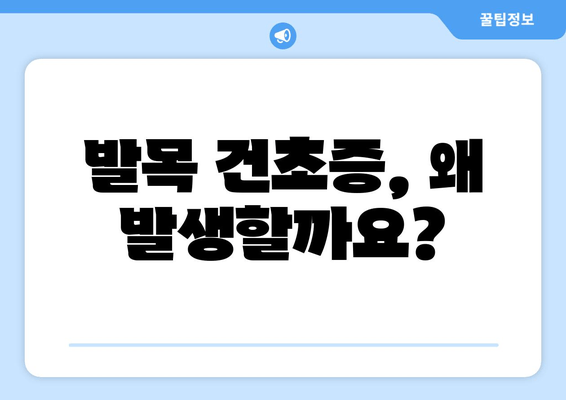 발목 건초증 극복을 위한 발목 강화 운동| 힘과 안정성 회복 가이드 | 발목 통증, 재활 운동, 운동 방법, 효과