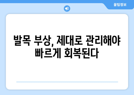 갑작스러운 발목 통증, 원인과 관리법 완벽 가이드 | 발목 통증, 응급처치, 재활 운동