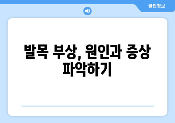 갑작스러운 발목 통증, 왜? 어떻게 관리해야 할까요? | 발목 부상, 통증 원인, 치료, 재활, 운동