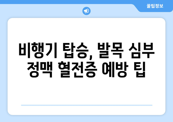 발목 심부 정맥 혈전증 병력이 있는 분들을 위한 안전하고 편안한 여행 가이드 | 여행 준비, 주의 사항, 팁, 정보