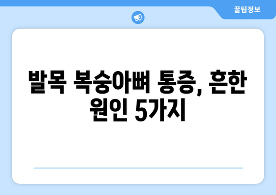 발목 복숭아뼈 통증의 원인과 해결책| 5가지 주요 원인 분석 및 효과적인 치료법 | 발목 통증, 복숭아뼈 통증, 발목 부상, 통증 완화