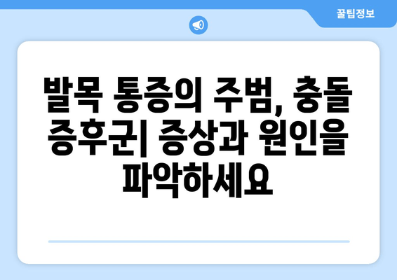 발목 통증의 숨겨진 주범, 충돌 증후군 파헤치기| 원인, 증상, 치료 | 발목 통증, 발목 부상, 운동 선수, 재활