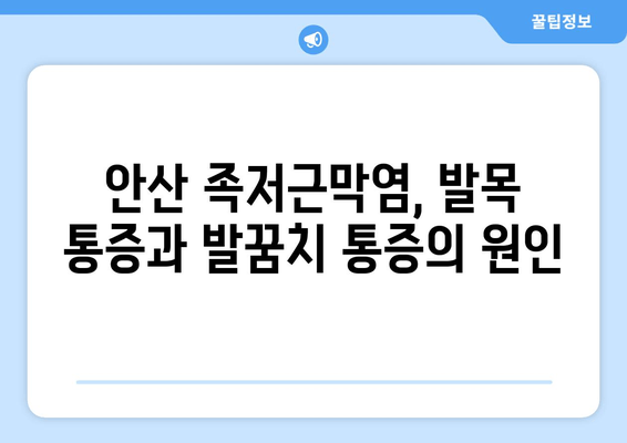 발목 젖히기 힘들다면? 안산 족저근막염 증상 확인해보세요 | 발목 통증, 발꿈치 통증, 안산 정형외과