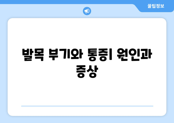 발목 부기와 통증| 염좌, 관절염, 골절 | 원인과 증상, 진단 및 치료, 예방법