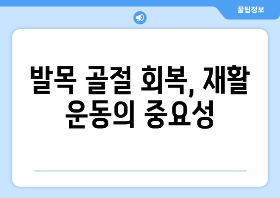 발목 골절, 회복 기간 관리| 빠르고 안전한 일상 복귀를 위한 완벽 가이드 | 발목 골절, 재활 운동, 회복 과정, 치료